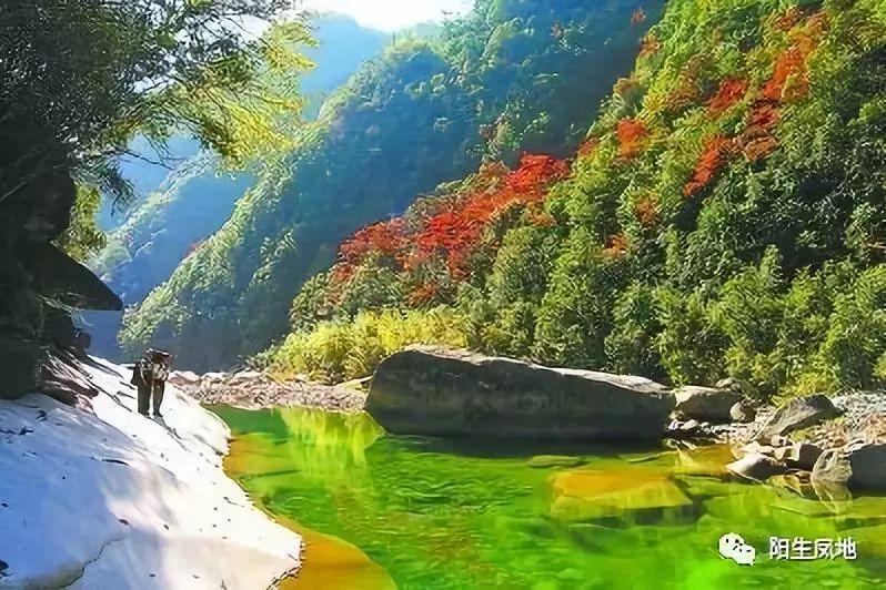 小兔子大冒险